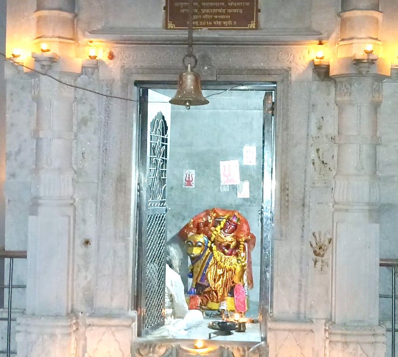 Marudhar Ka Tehlka | तड़पते पक्षी देख जोगमाया चुग्गा संघ के सेवाभावी दो...